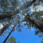 Lesne Hébergement de vacances
